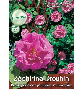 ZEPHIRINE DROUHIN