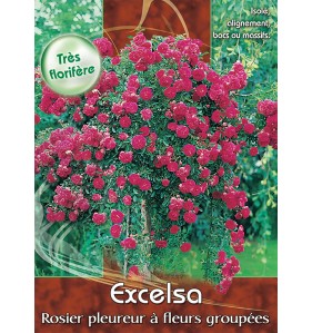 EXCELSA