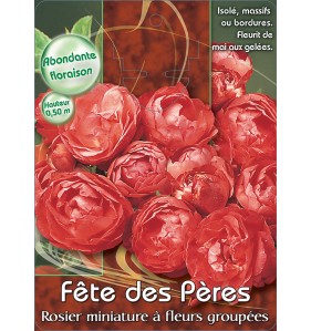 FETE DES PERES