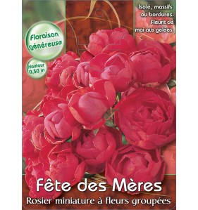 FETE DES MERES