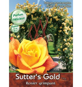 SUTTER'S GOLD
