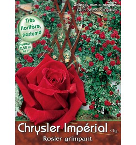 CHRYSLER IMPERIAL CLG