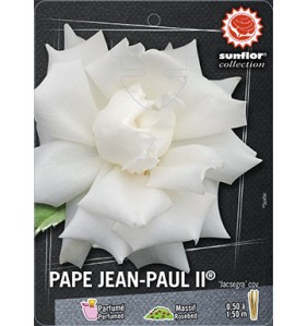 PAPE JEAN-PAUL II