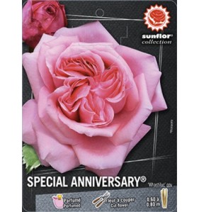 SPECIAL ANNIVERSARY