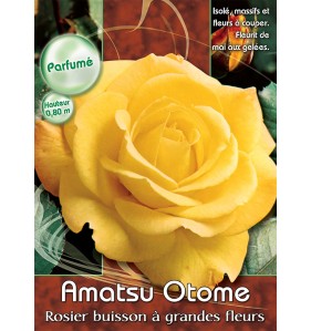 AMATSU OTOME