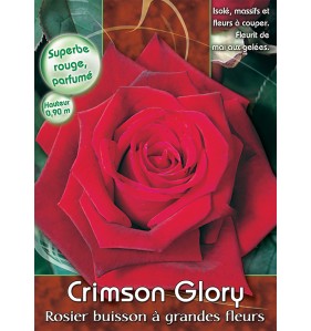 CRIMSON GLORY