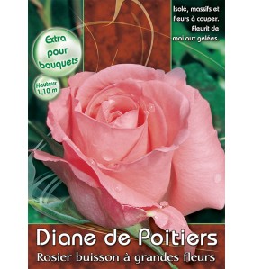 DIANE DE POITIERS