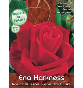 ENA HARKNESS